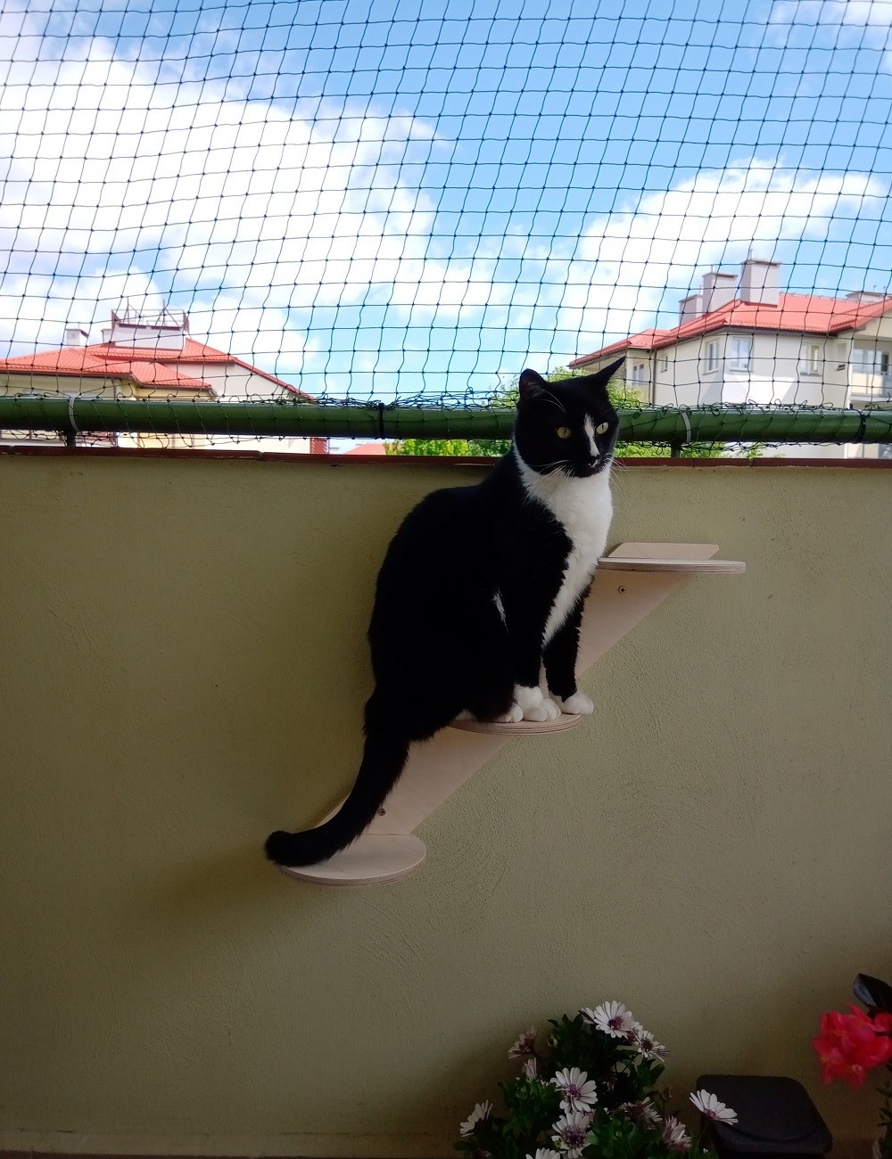 Półka, schodki dla kota prawostronne SNP 1-...