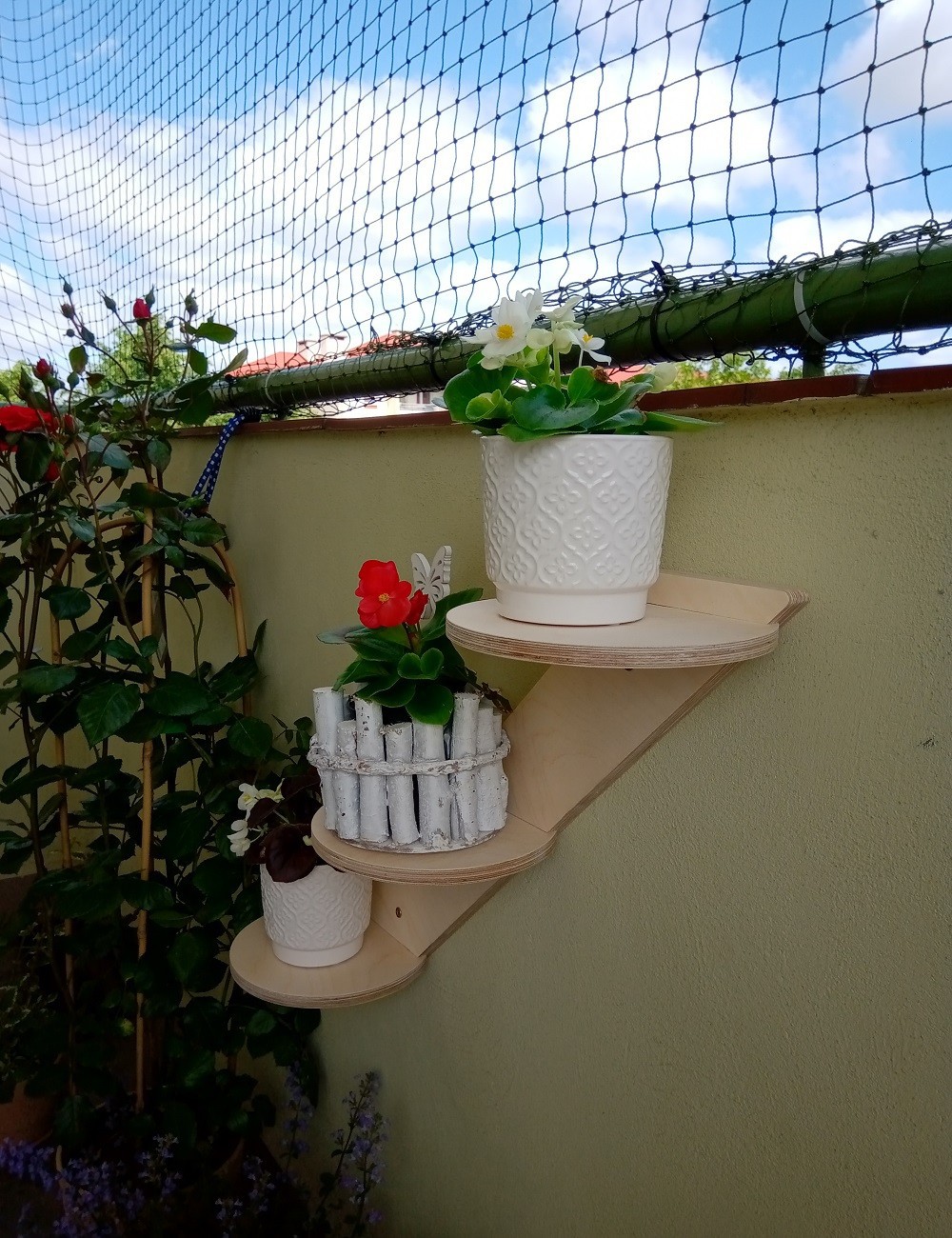 Półka, schodki dla kota prawostronne SNP 1-...