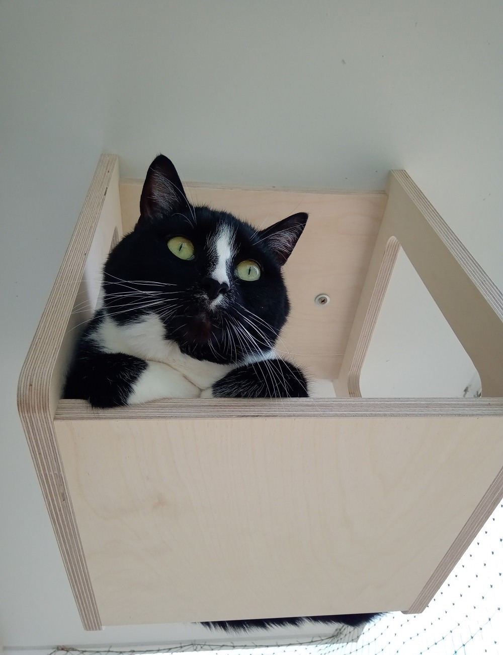 Spocznik sufitowy - impregnowany