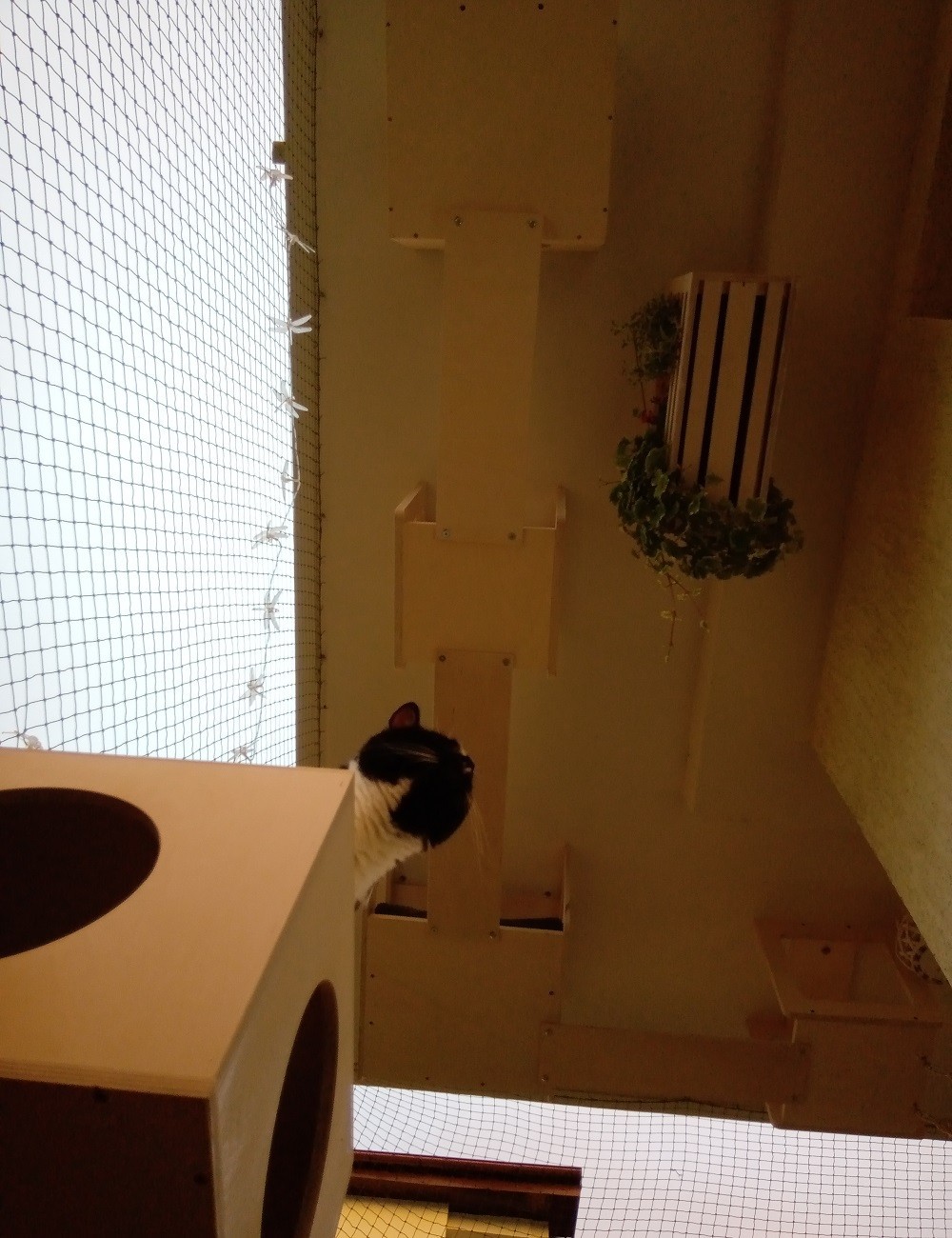 Kwietnik podwieszany - impregnowany