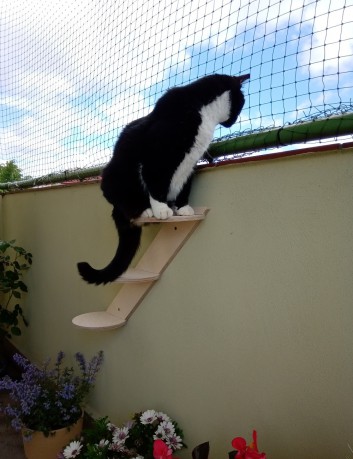 Półka, schodki dla kota prawostronne SNP 1 2