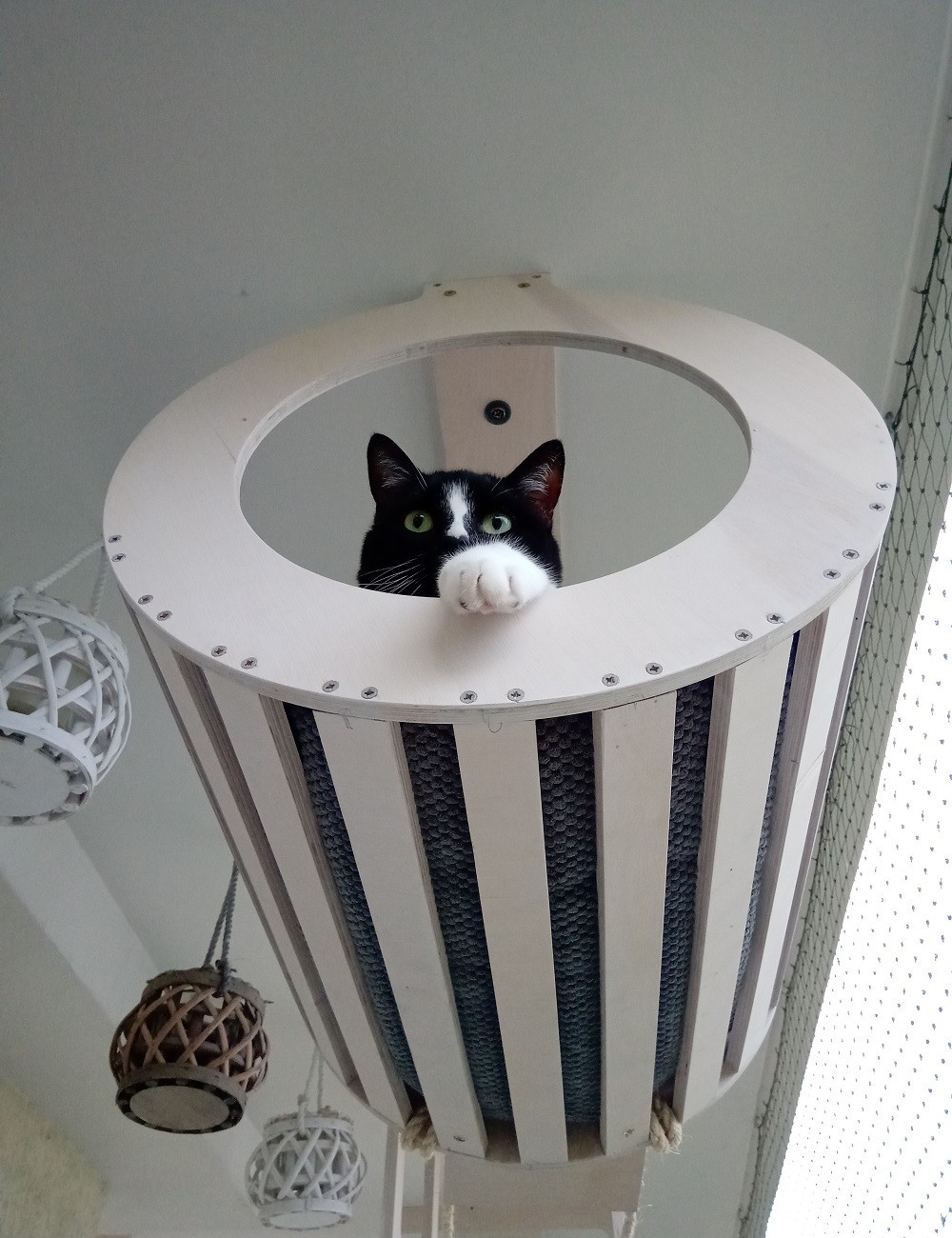 Leżanka sufitowa dla kota