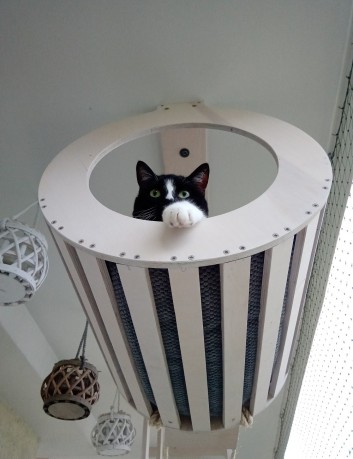 Leżanka sufitowa dla kota- impregnowana