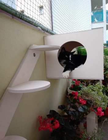 Domek ścienny dla kota - impregnowany