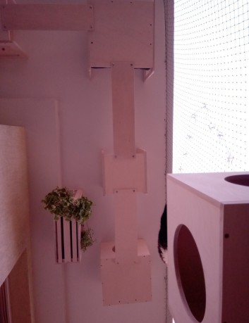 Deska, przejście dla kota - impregnowana 2