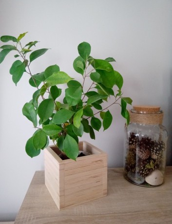 Osłonka na doniczkę- średnia