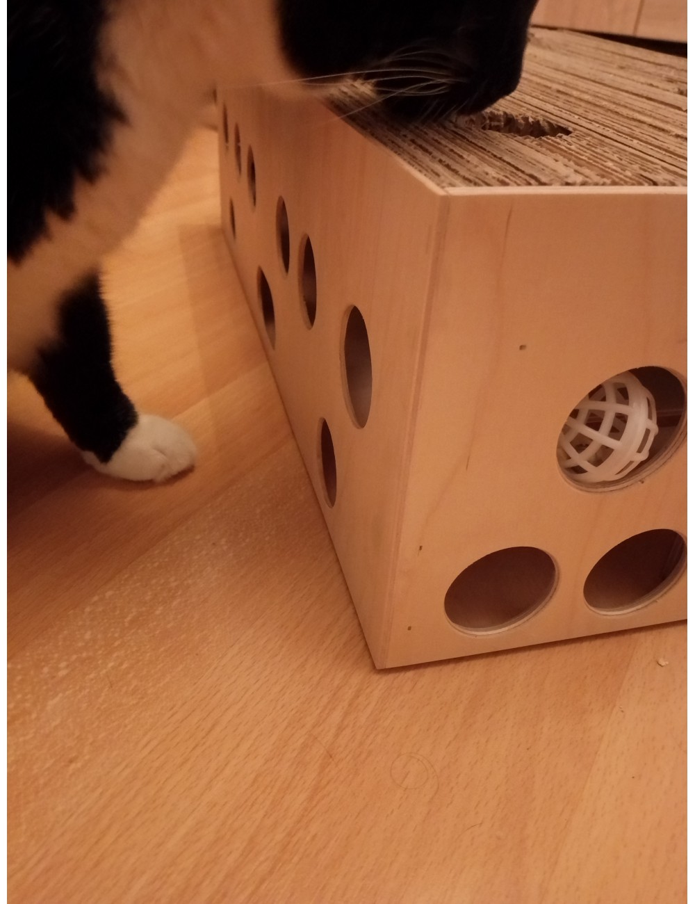 Drapak, zabawka dla kota