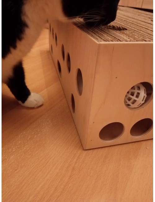 Drapak, zabawka dla kota