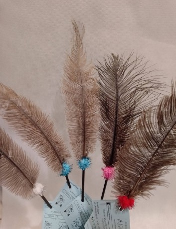 Wędka dla kota -strusie pióro 2