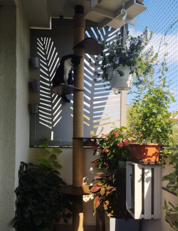 Drapak sufitowy-rozporowy impregnowany  SFBW1 2