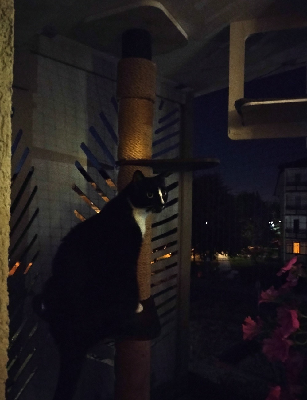 Drapak sufitowy-rozporowy impregnowany  SFBW1