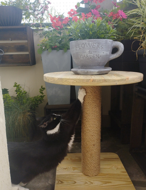 Stolik drewniany- impregnowany ciśnieniowo