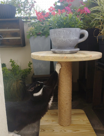 Stolik drewniany- impregnowany ciśnieniowo- lakierowany 2