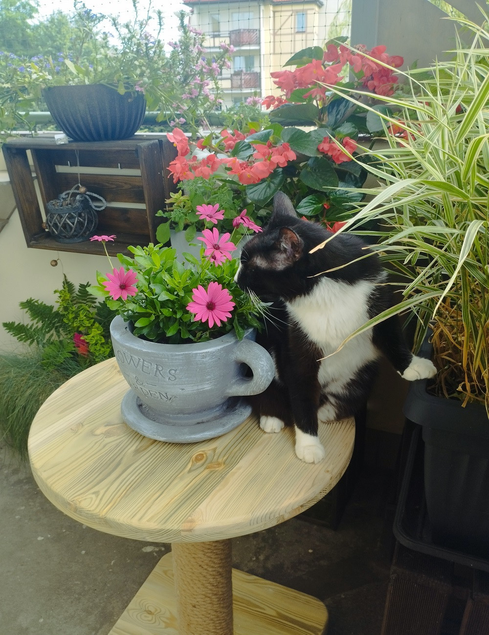 Stolik drewniany- impregnowany ciśnieniowo-...