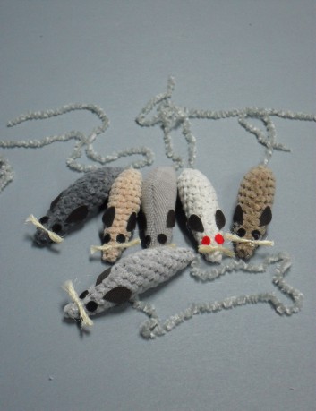 Szczurek mały z kociąmiętą