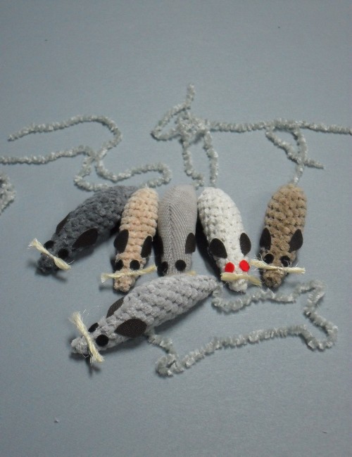 Szczurek mały z kociąmiętą