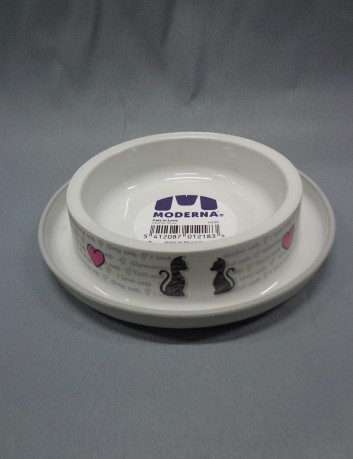 Miska Moderna zakochany kot