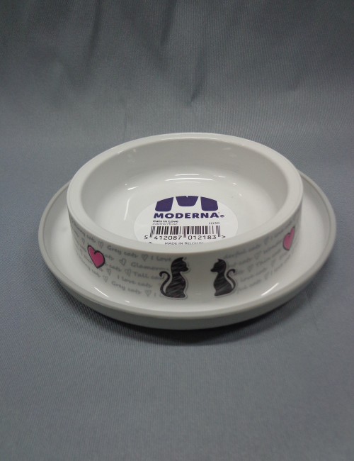 Miska Moderna zakochany kot